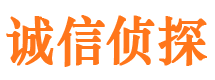 新和侦探公司